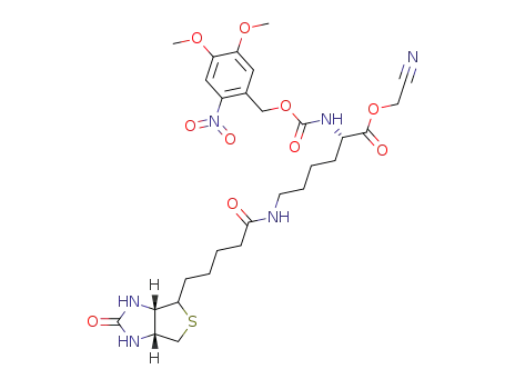 (S)-2-(4,5-Dimethoxy-2-nitro-benzyloxycarbonylamino)-6-[5-((3aR,6aS)-2-oxo-hexahydro-thieno[3,4-d]imidazol-6-yl)-pentanoylamino]-hexanoic acid cyanomethyl ester