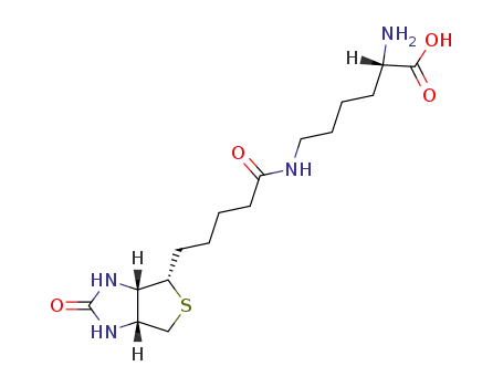 Molecular Structure of 576-19-2 (Biocytin)