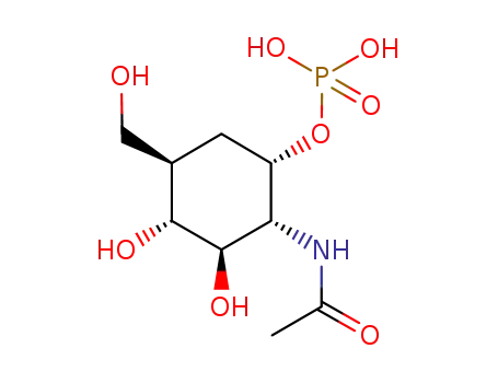 (1S,2R,3R,4R,5R)-2-acetamido-3,4-dihydroxy-5-hydroxymethyl-cyclohexane-1-phosphate