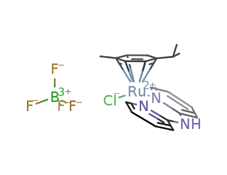 [(η6-p-(i-Pr)C6H4Me)RuCl(κ2-2,2'-dipyridylamine)]BF4