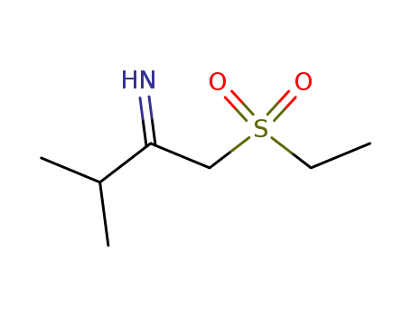 1-ethanesulfonylmethyl-2-methyl-propylideneamine