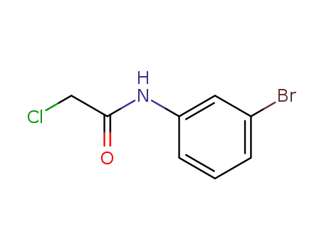 Molecular Structure of 2564-03-6 (N-(3-BROMOPHENYL)-2-CHLOROACETAMIDE)