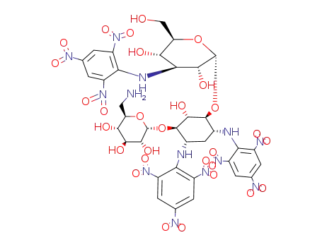 tetra N-(2,4,6-trinitrophenyl)kanamycin A