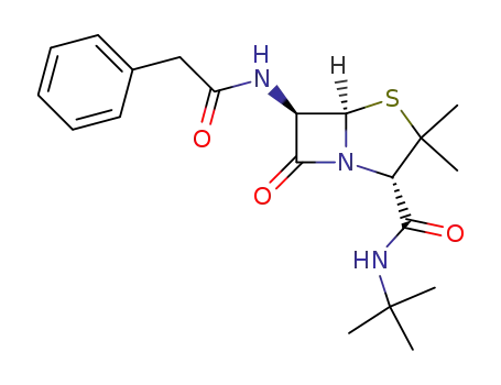 6β-(2-phenyl-acetylamino)-penicillanic acid tert-butylamide