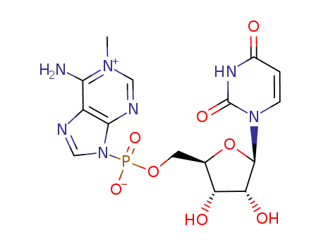 uridine 5'-(1-methyladenin-1-ium-9-yl)phosphonate