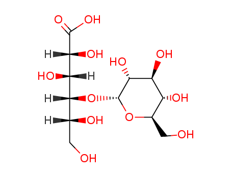 534-42-9,4-O-(α-D-Glucopyranosyl)-D-gluco-hexonic acid,O4-α-D-glucopyranosyl-D-gluconic acid;4-O-(α-D-Glucopyranosyl)-D-gluco-hexonic acid;(2R,3R,4R,5R)-2,3,5,6-Tetrahydroxy-4-((2R,3R,4S,5S,6R)-3,4,5-trihydroxy-6-hydroxymethyl-tetrahydro-pyran-2-yloxy)-hexanoic acid;maltobionic acid;O4-α-D-Glucopyranosyl-D-gluconsaeure;D-maltobionic acid;4-O-(alpha-D-Glucopyranosyl)-D-gluco-hexonic acid;Cellobionsaeure;maltonoic acid;