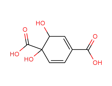 1,2-dihydroxycyclohexa-3,5-diene-1,4-dicarboxylic acid
