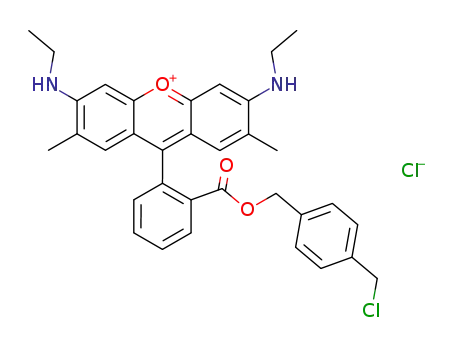 rhodamine 19 4-chloromethyl-1-phenylmethyl ester chloride