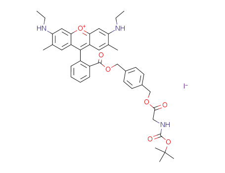 rhodamine 19 4-(N-t-butoxycarbonyl-glycinyl-oxymethyl)-1-phenylmethyl ester iodide