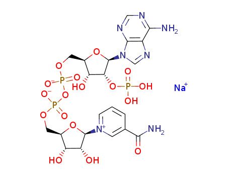 1184-16-3,BETA-NICOTINAMIDE ADENINE DINUCLEOTIDE PHOSPHATE SODIUM SALT,5'-ester with3-(aminocarbonyl)-1-b-D-ribofuranosylpyridinium, inner salt, monosodium salt (9CI);5'-ester with 3-(aminocarbonyl)-1-b-D-ribofuranosylpyridinium hydroxide, inner salt,2'-(dihydrogen phosphate), monosodium salt;Adenosine 5'-(trihydrogendiphosphate), P'?;5'-esterwith 3-(aminocarbonyl)-1-b-D-ribofuranosylpyridinium, inner salt, 2'-(dihydrogen phosphate),monosodium salt;NSC 20273;Sodium NADP;