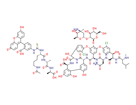 vancomycin - Nα-(fluoresceinylthiocarbamoyl)-Nω-acetyl-L-Lys-D-Ala-D-Ala complex