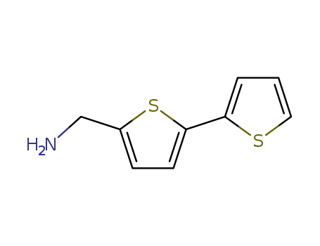 [2,2'-Bithiophene]-5-methanamine