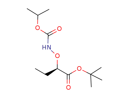 (R)-tert-butyl 2-(isopropoxycarbonylaminooxy)butanoate