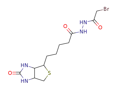 biotinyl-bromoacetyl hydrazide