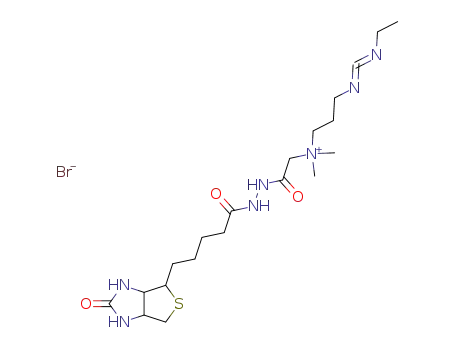 1-ethyl-3-{3-[(biotinylhydrazinocarbonylmethyl)dimethylammonio]propyl}carbodiimide bromide