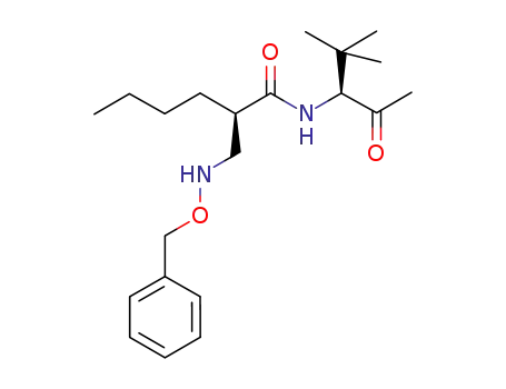 2(R)-(N-benzyloxyaminomethyl)-hexanoic acid-(1'(S)-acetyl-2',2'-dimethylpropyl)amide