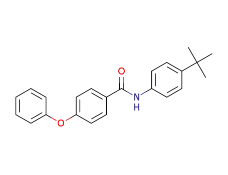 N-(4-tert-butylphenyl)-4-phenoxybenzamide