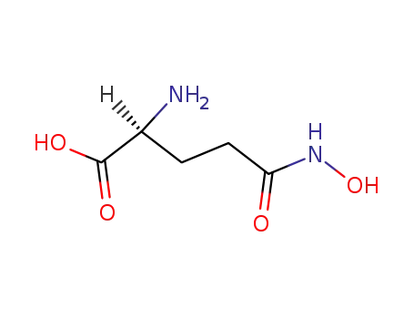L-Glutamic acid gamma monohydroxamate