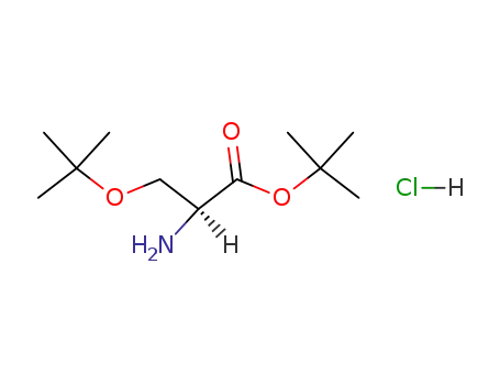 Molecular Structure of 51537-21-4 (H-SER(TBU)-OTBU HCL)