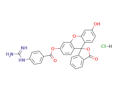 fluorescein mono-p-guanidinobenzoate hydrochloride