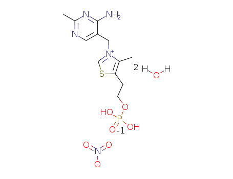 3-(4-amino-2-methyl-pyrimidin-5-ylmethyl)-4-methyl-5-(2-phosphonooxy-ethyl)-thiazolium; nitrate