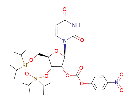 Molecular Structure of 202533-73-1 (3',5'-O-[1,1,3,3-Tetrakis(1-methylethyl)-1,3-disiloxanediyl]uridine 2'-(4-nitrophenyl carbonate))