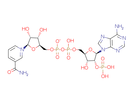 53-59-8,Triphosphopyridine nucleotide,Adenosine5'-(trihydrogen diphosphate), 2'-(dihydrogen phosphate), P'®5'-ester with3-(aminocarbonyl)-1-b-D-ribofuranosylpyridinium hydroxide, inner salt; Pyridinium,3-carbamoyl-1-b-D-ribofuranosyl-,hydroxide, 5'®5'-esterwith adenosine 2'-(dihydrogen phosphate) 5'-(trihydrogen pyrophosphate), innersalt (8CI); 52: PN: WO2004076659 FIGURE: 7 claimed sequence;Adenine-nicotinamide dinucleotide phosphate; Codehydrase II; CodehydrogenaseII; Coenzyme II; Cozymase II; NAD phosphate; NADP; NADP+; Nicotinamide-adeninedinucleotide phosphate; TPN; TPN (nucleotide); Triphosphopyridine nucleotide; b-NADP; b-Nicotinamide adeninedinucleotide phosphate; b-TPN