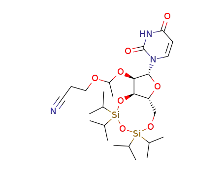 2'-O-[1-(2-cyanoethoxy)ethyl]-3',5'-O-(1,1,3,3-tetraisopropyldisiloxane-1,3-diyl)uridine