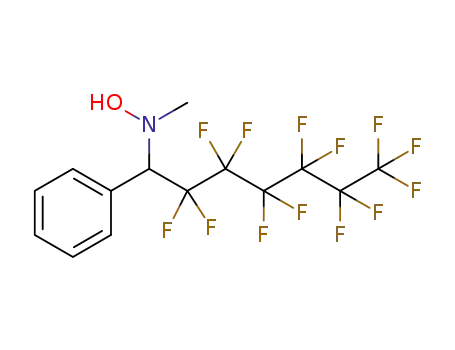 N-methyl-N-(2,2,3,3,4,4,5,5,6,6,7,7,7-tridecafluoro-1-phenylheptyl)hydroxylamine