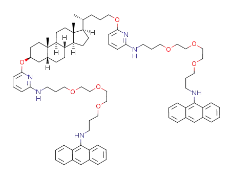 N-[3-(2-{2-[3-(9-anthrylamino)propoxy]ethoxy}ethoxy)propyl]-6-({(3β,5β)-24-[(6-{[3-(2-{2-[3-(9-anthrylamino)propoxy]ethoxy}ethoxy)propyl]amino}pyridin-2-yl)oxy]cholan-3-yl}oxy)pyridin-2-amine
