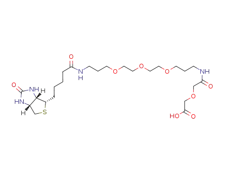 biotin 4,7,10-trioxa-1,13-tridecanediamine-diglycolic carboxylate