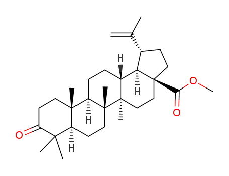Molecular Structure of 4356-31-4 (Betulonicacidmethylester)