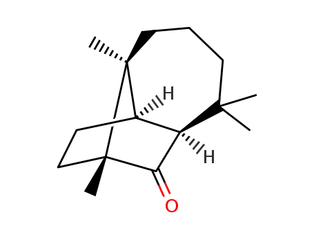 8-oxolongibornane