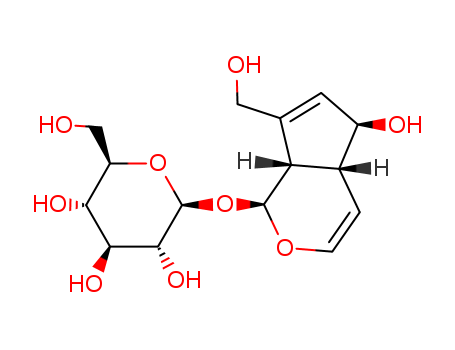 479-98-1,Aucubin,Aucubin(6CI,7CI,8CI);β-D-Glucopyranoside,1,4a,5,7a-tetrahydro-5-hydroxy-7-(hydroxymethyl)cyclopenta[c]pyran-1-yl, [1S-(1a,4aa,5a,7aa)]-;Aucubine;Aucubosid;Aucuboside;Rhimantin;β-D-Glucopyranoside,(1S,4aR,5S,7aS)-1,4a,5,7a-tetrahydro-5-hydroxy-7-(hydroxymethyl)cyclopenta[c]pyran-1-yl;