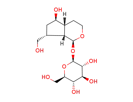 tetrahydro-aucubin