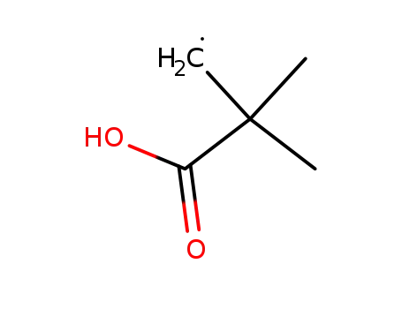 2-Carboxyl-2,2-dimethyl ethyl radical