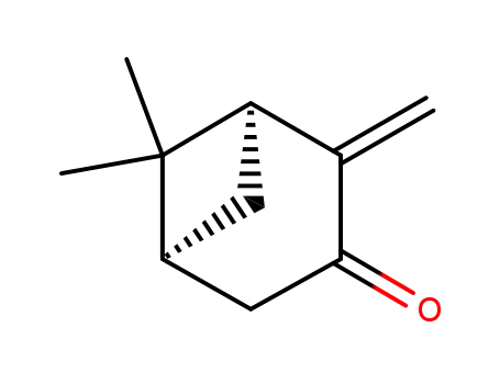 Molecular Structure of 19890-00-7 (Bicyclo[3.1.1]heptan-3-one, 6,6-dimethyl-2-methylene-, (1S,5S)-)