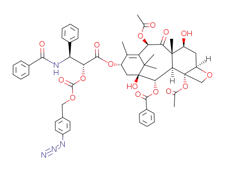2'-(4-azidobenzyloxycarbonyl)paclitaxel