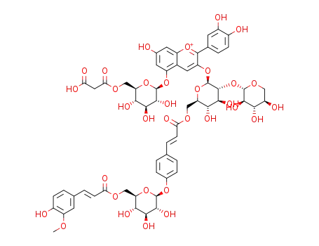 cyanidin 3-O-[2-O-(β-xylopyranosyl)-6-O-(4-O-(6-O-(trans-feruloyl)-β-glucopyranosyl)-trans-p-coumaroyl)-β-glucopyranoside]-5-O-[6-O-(malonyl)-β-glucopyranoside]