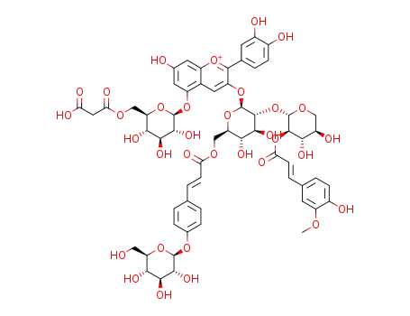 cyanidin 3-O-[2-O-(2-O-(trans-feruloyl)-β-xylopyranosyl)-6-O-(4-O-(β-glucopyranosyl)-trans-pcoumaroyl)-β-glucopyranoside]-5-O-[6-O-(malonyl)-β-glucopyranoside]