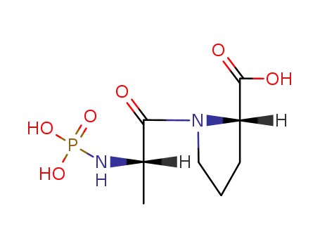 Molecular Structure of 76166-63-7 (N(alpha)-phosphorylalanylproline)
