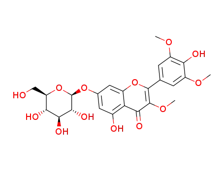 3,3',5'-trimethoxylmyricetin 7-O-β-D–glucopyranoside