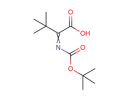 2-tert-butoxycarbonylimino-3,3-dimethylbutanoic acid