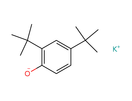 Molecular Structure of 37408-22-3 (potassium 2,4-di-tert-butylphenolate)