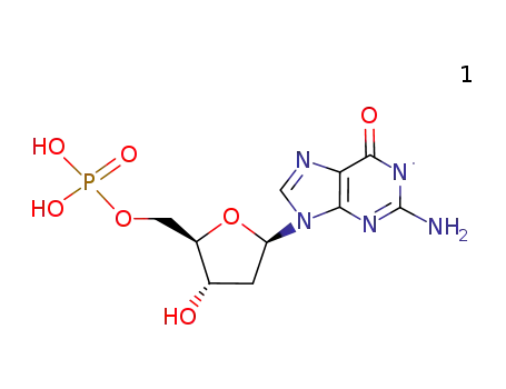 2'-dG-5'-MP deprotonated radical cation