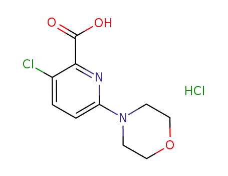 3-chloro-6-(morpholin-4-yl)-2-pyridinecarboxylic acid hydrochloride