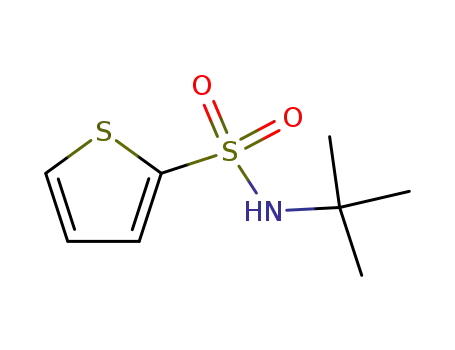 N-tert-Butyl-2-thiophenesulfonamide cas no. 100342-30-1 97%