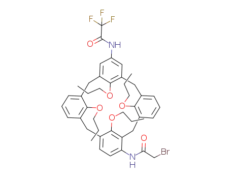 4-bromoacetamido-17-trifluoroacetamido-25,26,27,28-tetrapropoxycalix[4]arene