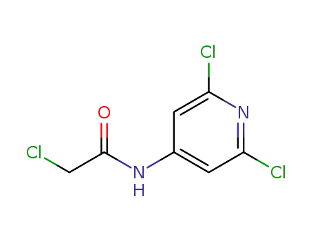2-chloro-N-(2,6-dichloro-pyridin-4-yl)-acetamide