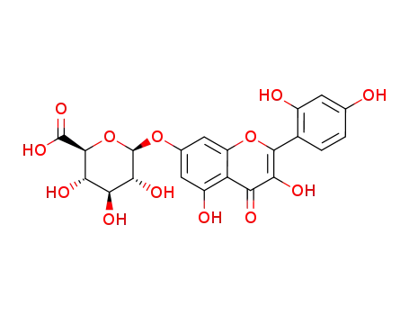morin-7-O-β-D-glucuronide